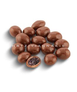 5056. milk chocolate raisin dragee